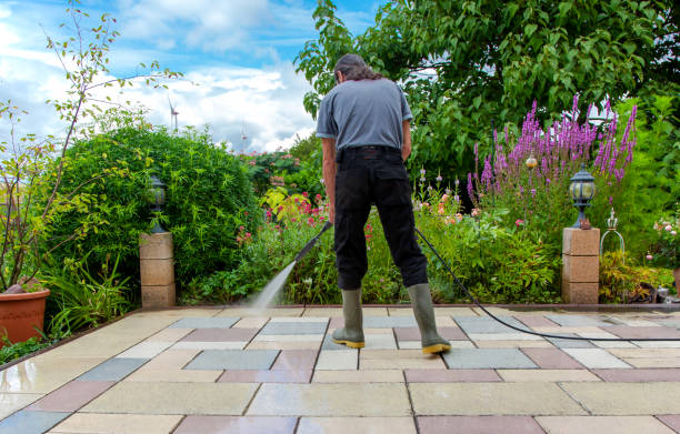 Best Pool Deck Cleaning in Forest View, IL